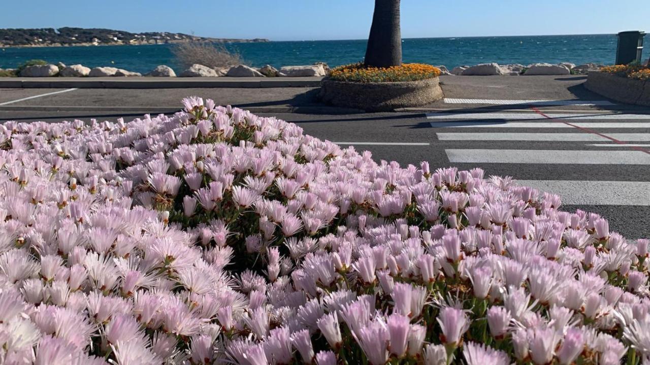 Les Appartements De La Marina Sanary-sur-Mer Dış mekan fotoğraf