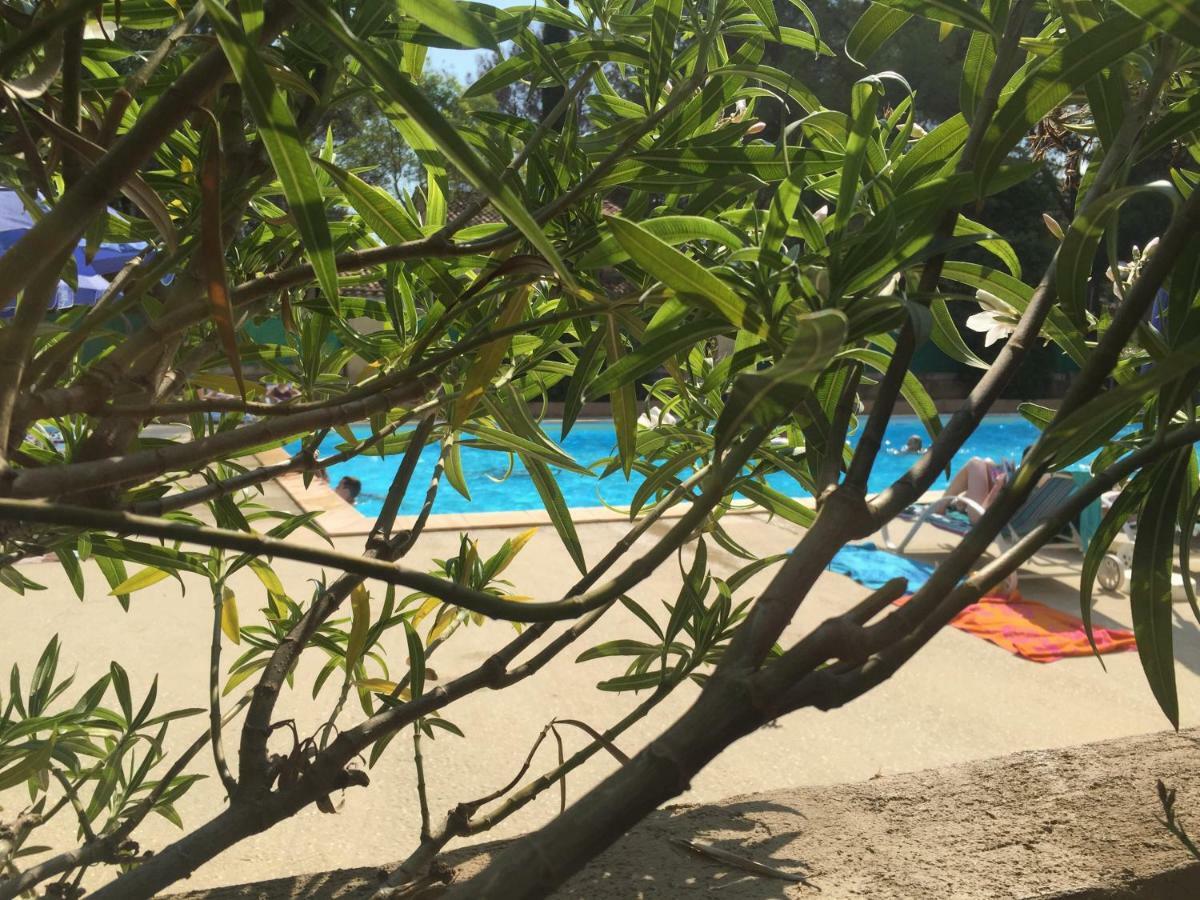 Les Appartements De La Marina Sanary-sur-Mer Dış mekan fotoğraf